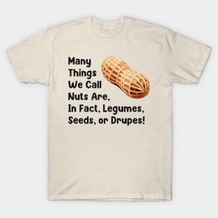 Many Things We Call Nuts Are, In Fact, Legumes Seeds or Drupes! T-Shirt
